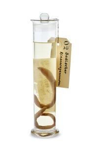 smf_nmn_xxx_nm-a1370_001_s